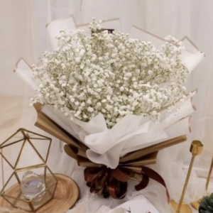 Baby Breath Bree Gift Shop