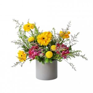 Gentle Whisper Bree Gift Shop