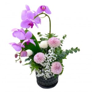 Ivory Crescent Bree Gift Shop