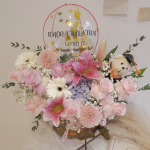 Pearls Hot Air Balloon Bree Gift Shop